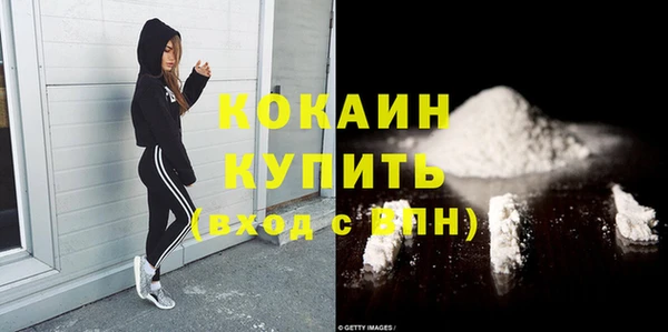2c-b Горняк
