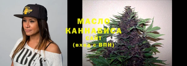 2c-b Горняк