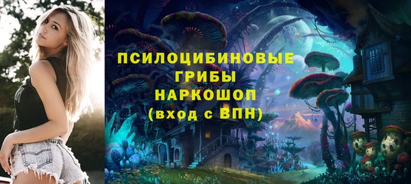 apvp Горно-Алтайск