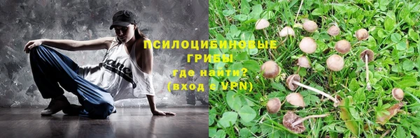 apvp Горно-Алтайск