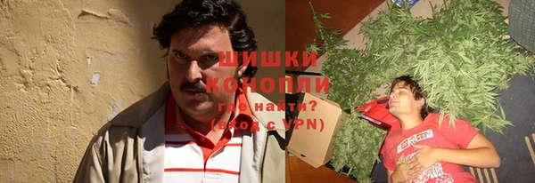 2c-b Горняк