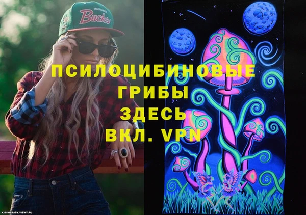 a pvp Горнозаводск