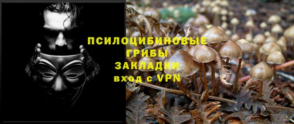 apvp Горно-Алтайск